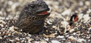 探索自然的纪录片推荐,七部神级自然纪录片你看过几部