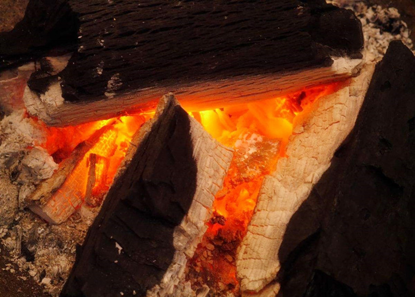 中国何时有棉花,北方没棉花之前用什么御寒