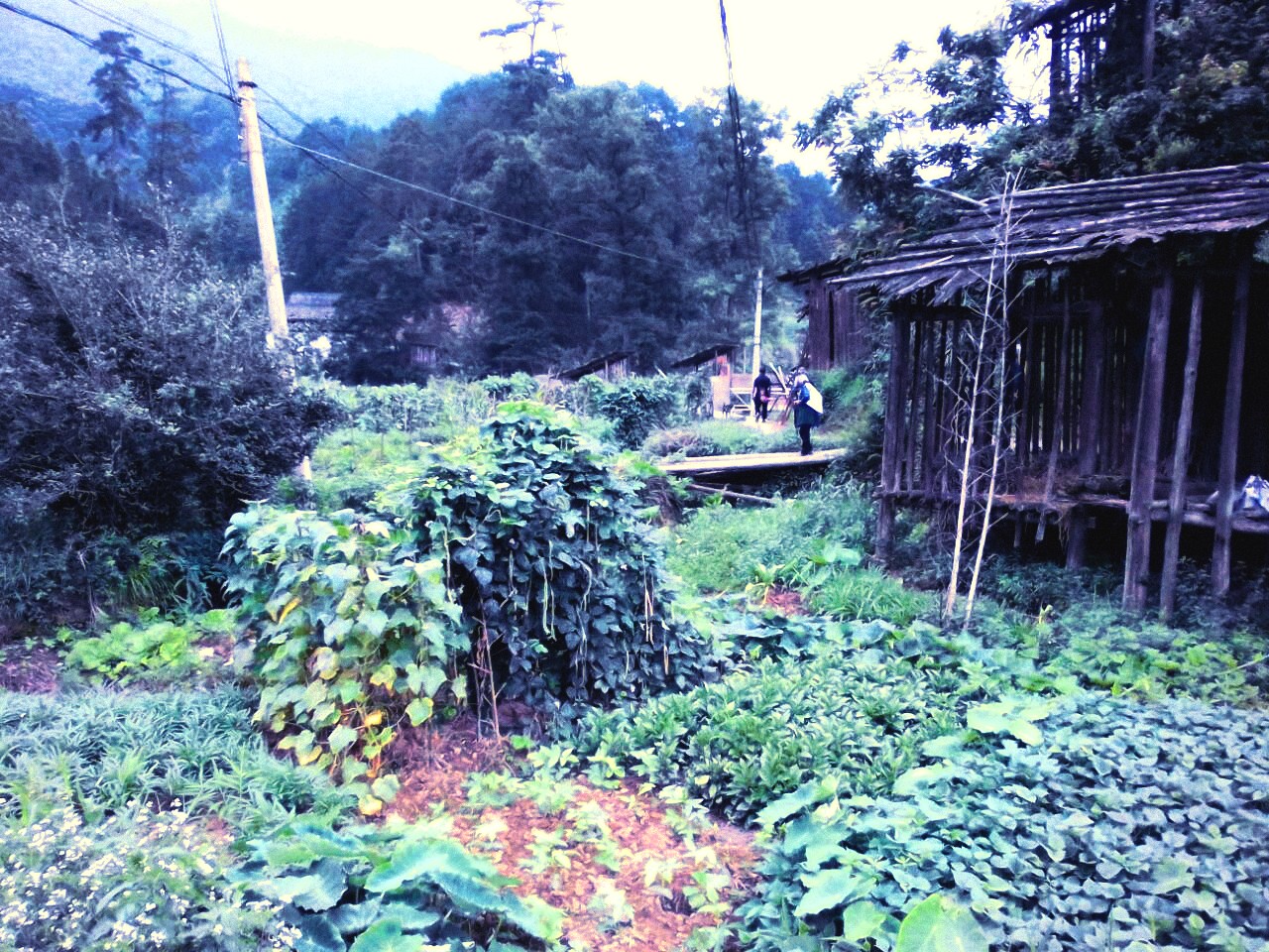 贵州发现神秘地方,黎平县洪州镇江口侗寨