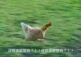 19岁的姆巴佩成为法国主力,姆巴佩个人潮牌