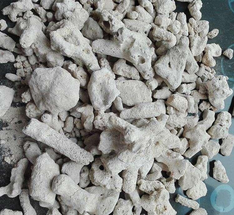 家养金鱼得病喂什么药,鱼缸养鱼鱼病症状