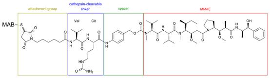 adc药物对骨转移有效吗,adc药物适用哪种癌症