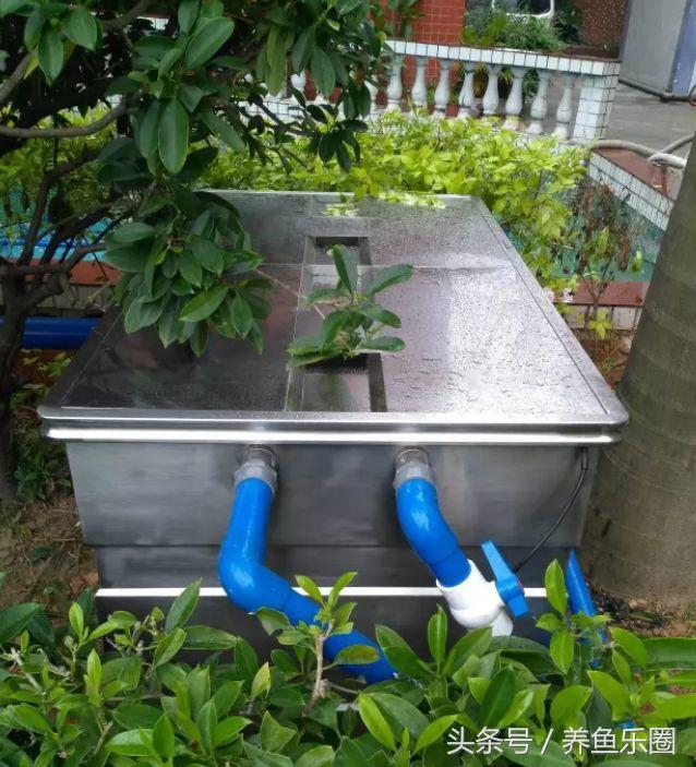 锦鲤池养鱼过滤系统,锦鲤池有了净化池还要增氧