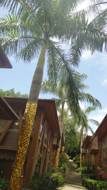 sanya天之涯，海之角我们来了