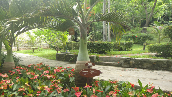 sanya天之涯，海之角我们来了