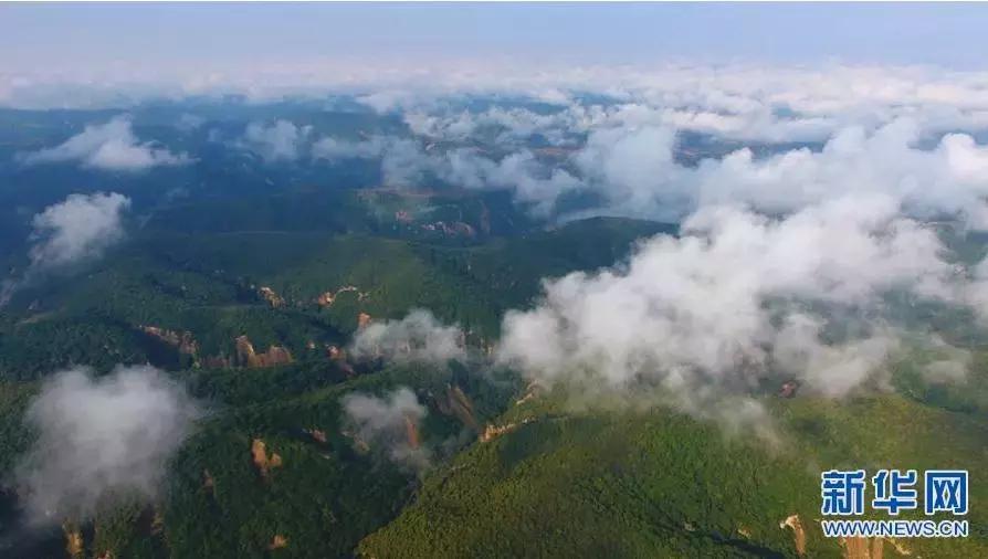 每日一字心得体会,每日一字心字