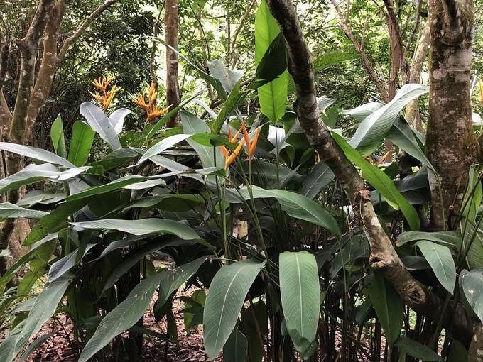 带你到三亚感受不一样的美食美景,三亚之行怎能错过这些美食和美景