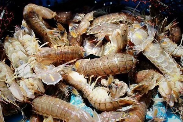 带你到三亚感受不一样的美食美景,三亚之行怎能错过这些美食和美景