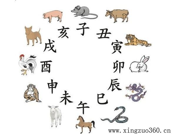 子丑寅卯辰申酉戌亥分阴阳,十二地支子丑寅戌亥