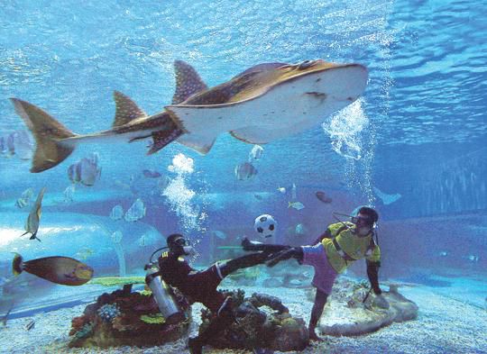 超好玩的足球赛,有什么比较好看的足球比赛