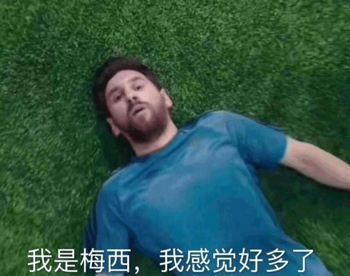 冰岛世界杯足球,冰岛男足球