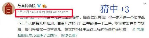 世界杯熊猫预测,世界杯预测猫咪最新