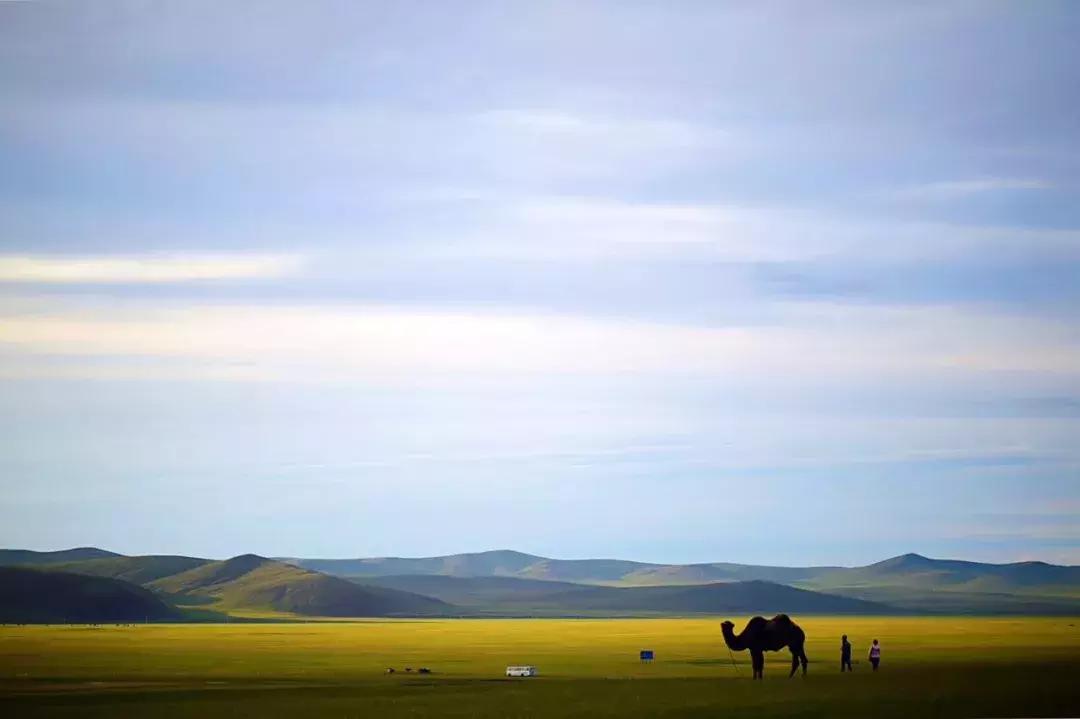呼伦贝尔陈巴尔虎草原游牧部落 (呼伦贝尔陈巴尔虎旗人多不多)
