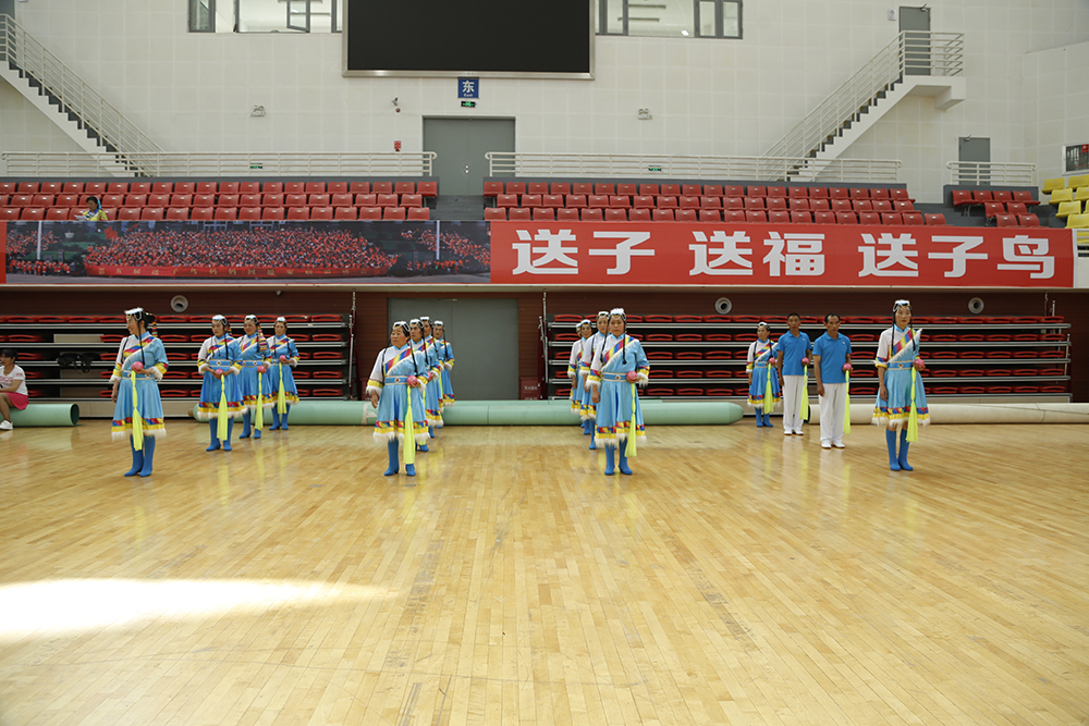 昆明送子鸟医院助力全国柔乐球大赛金平县荣获规定套路一等奖