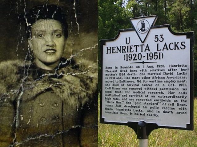 这些细胞害死了主人之后，又在实验室里繁殖了18000代