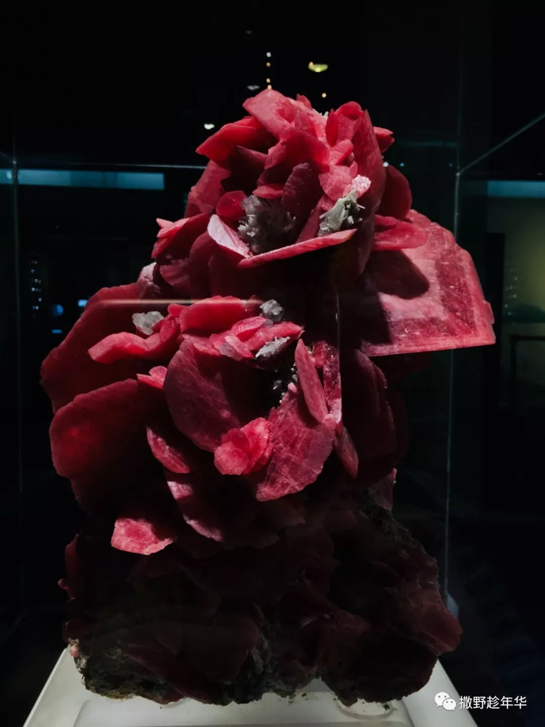 矿物精品展｜地壳深处的彩虹与少女心