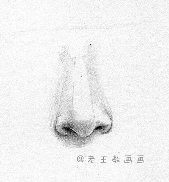 素描石膏像鼻子画法,素描五官鼻子讲解