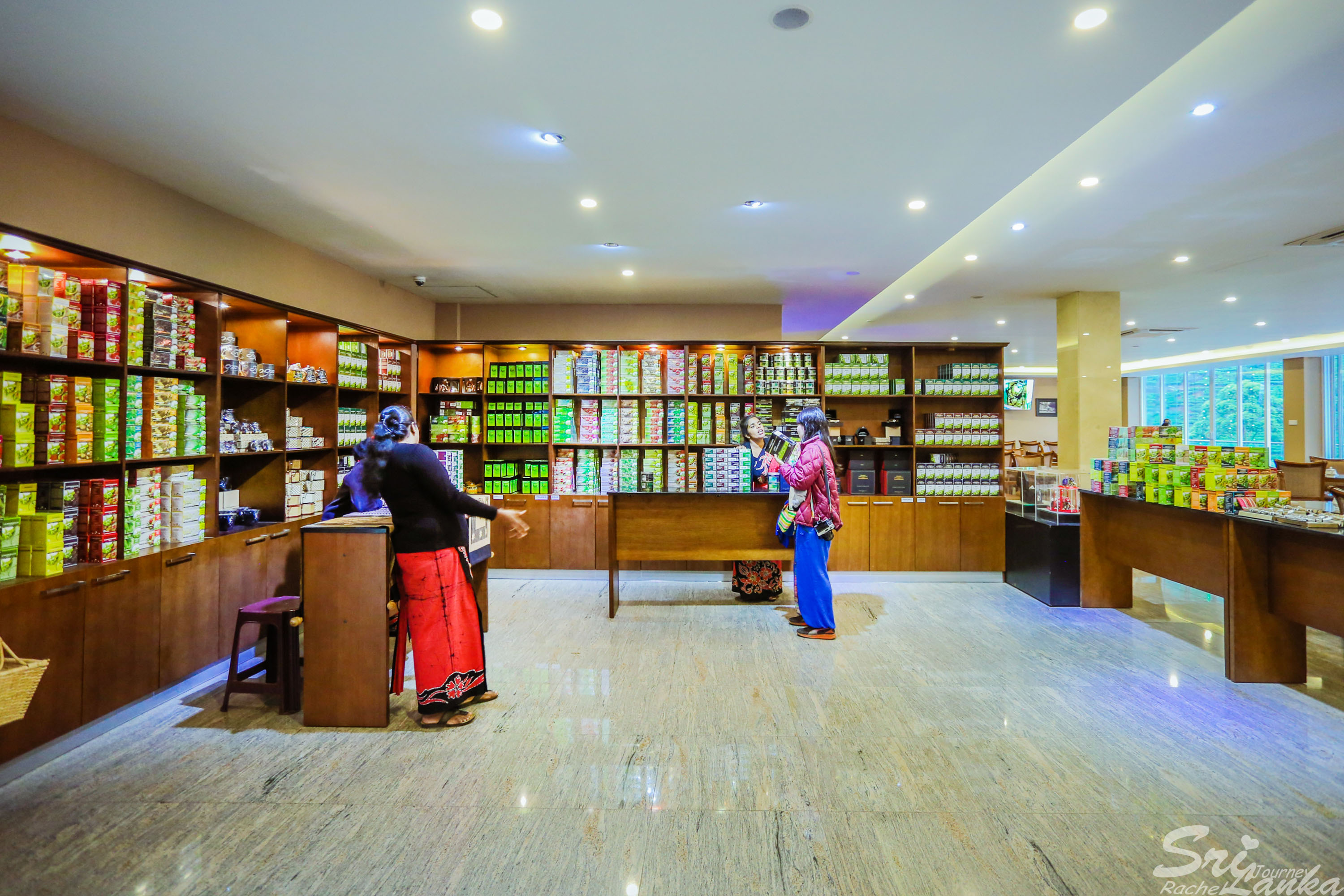 斯里兰卡中国游客,斯里兰卡参观茶厂