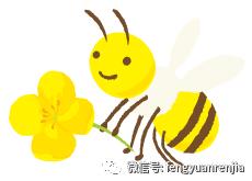 逢源家综活动,逢源家综最新动态