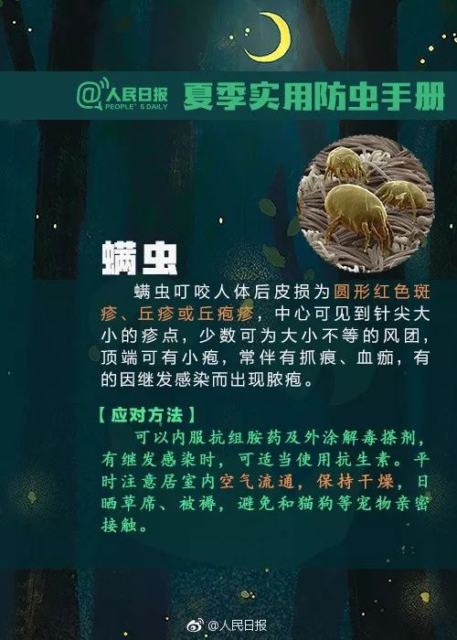 捉一只奖8元！广州全城“捉拿”的锥蝽，究竟是什么虫？