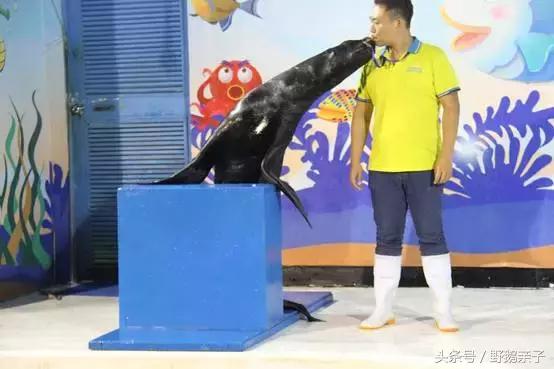 这个夏天去北京旅游好玩吗,夏天适合去的海底世界