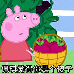 傻子的表情包图片大全,傻子专用表情包图片