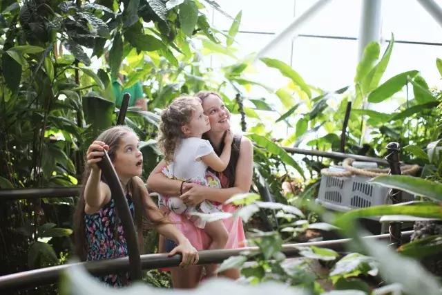 迪拜旅游攻略最低价,迪拜旅游攻略省钱