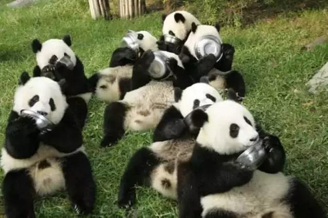 跟着世界杯去留学,跟着世界杯游世界