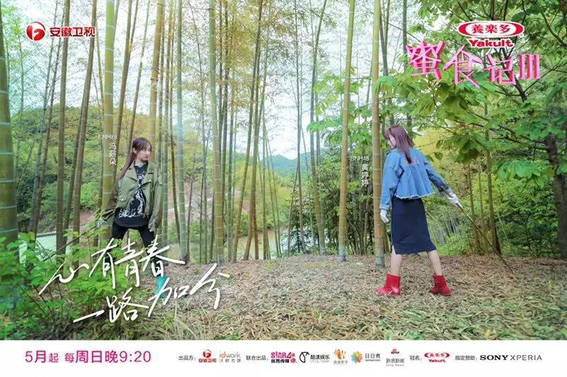 安徽卫视综艺节目蜜食记,蜜食记安徽卫视