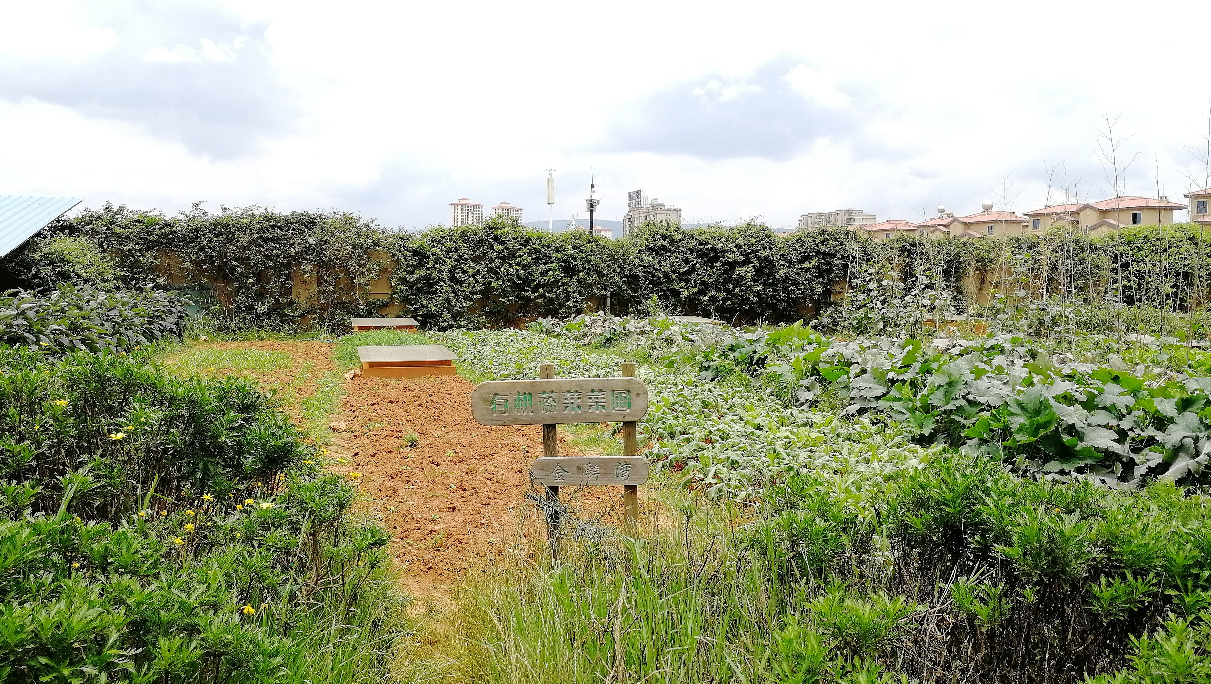 看花海，泡温泉，吃美食，周末就来这里！
