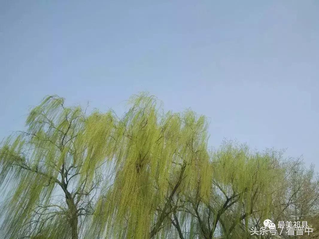 情系职中(杨保卫)