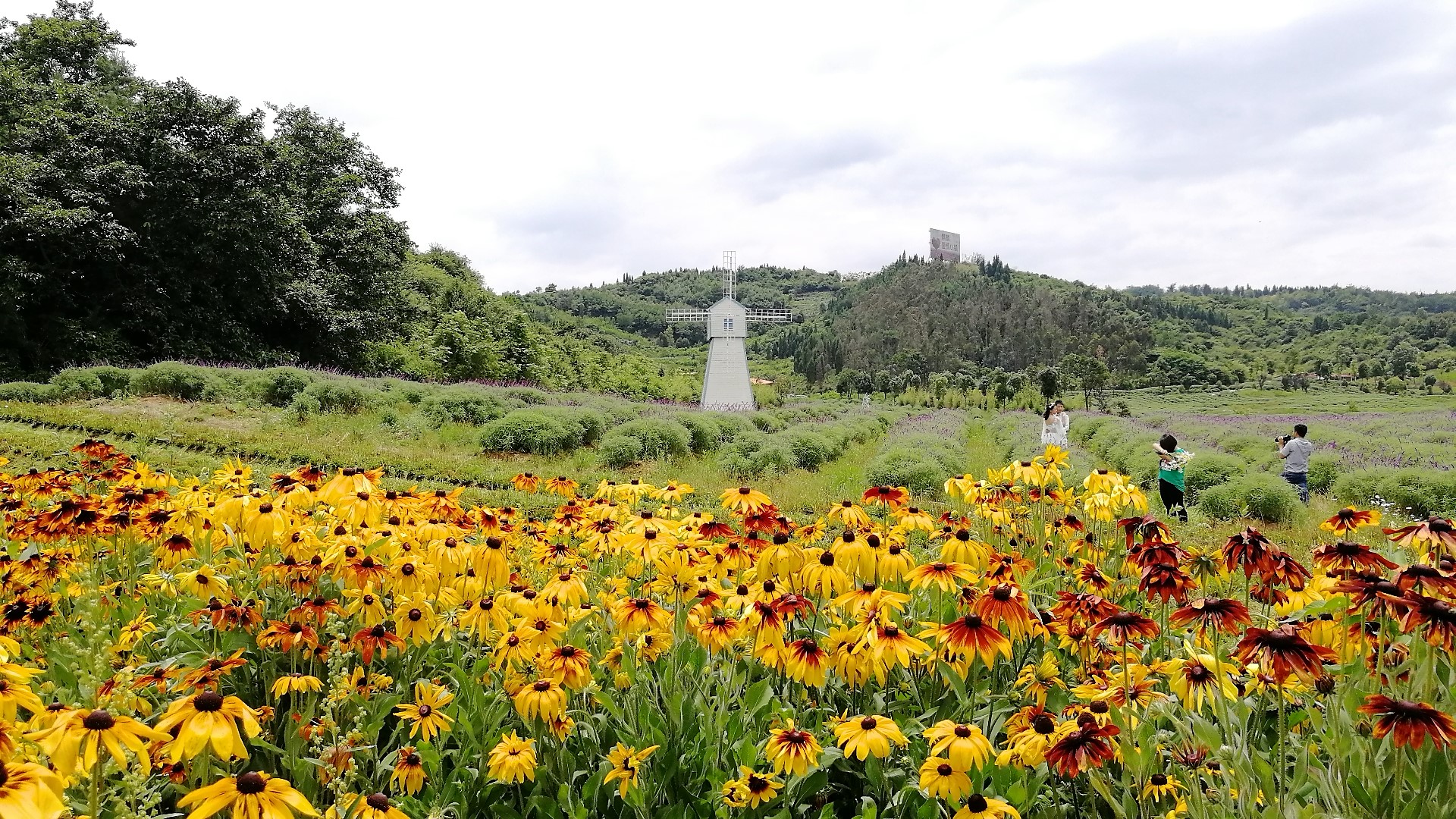 看花海，泡温泉，吃美食，周末就来这里！