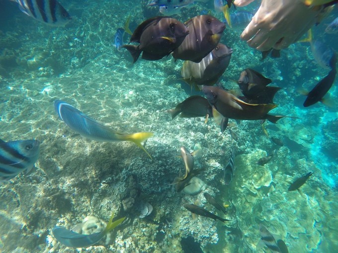 一个人的浪漫旅行视频,一个人的浪漫旅行自由自在