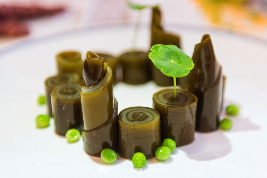 南充宇豪,四川南充阆中古城攻略