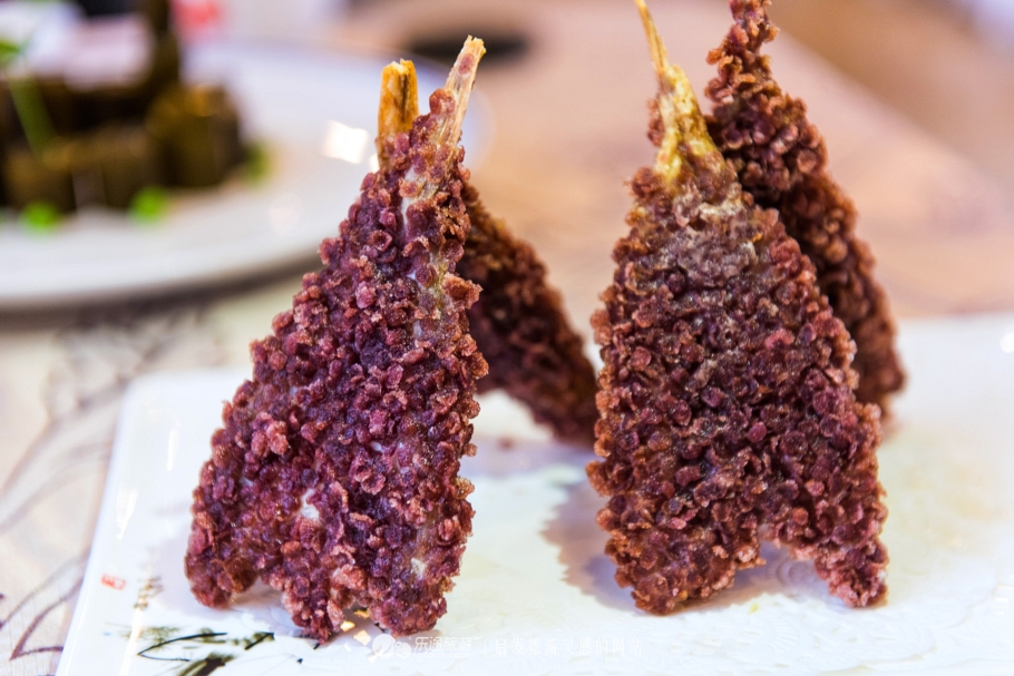 南充宇豪,四川南充阆中古城攻略