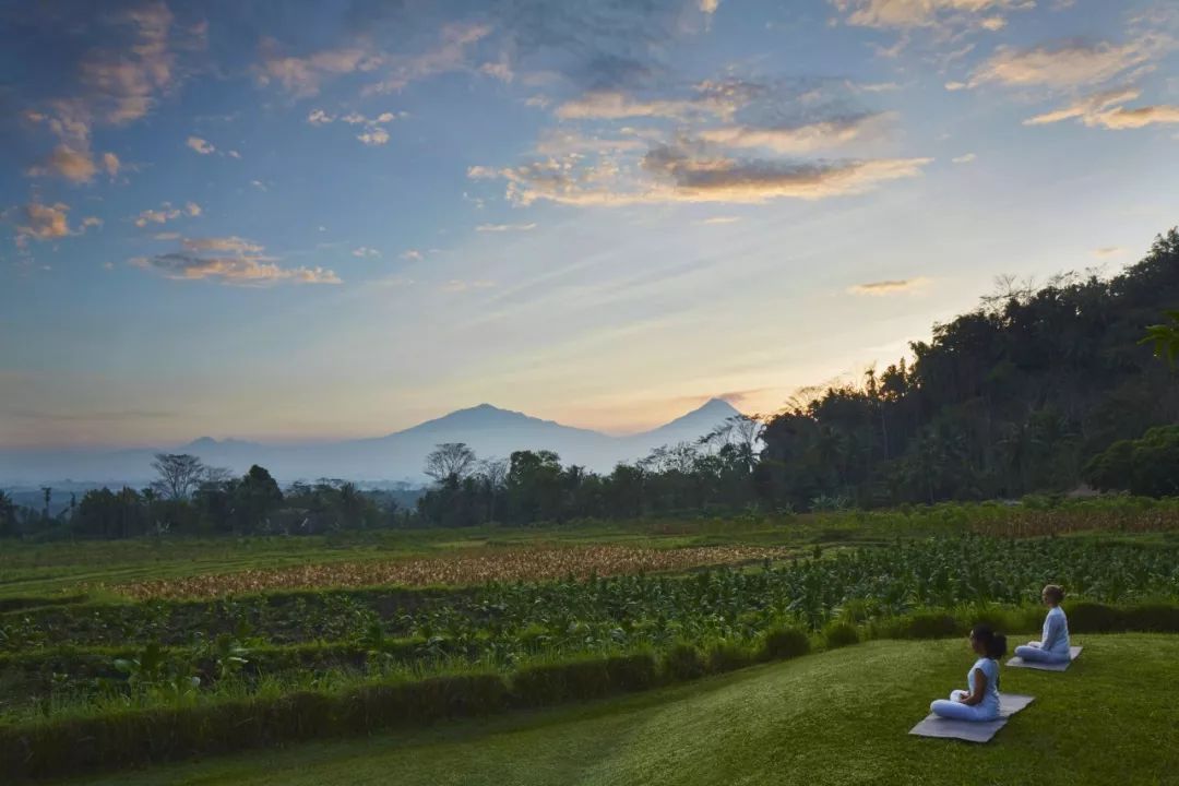 安缦东京度假村,东京安缦度假村