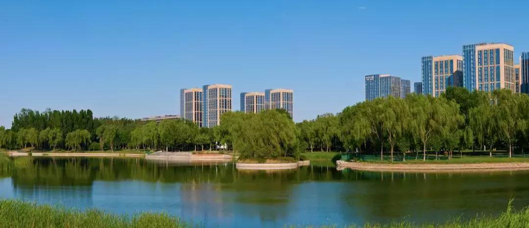 “国际庄”神盘的存在，并非偶然