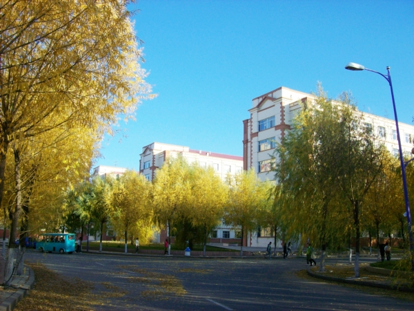 哈尔滨师范大学就业怎么样,哈尔滨师范好就业吗