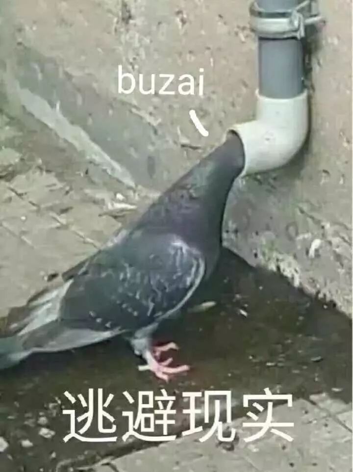 六月美妆空瓶记,6月空瓶