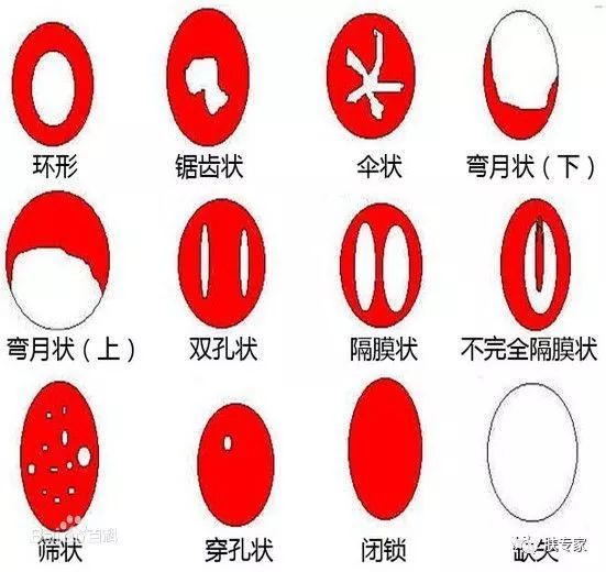 安馥婷,安馥婷专访全集