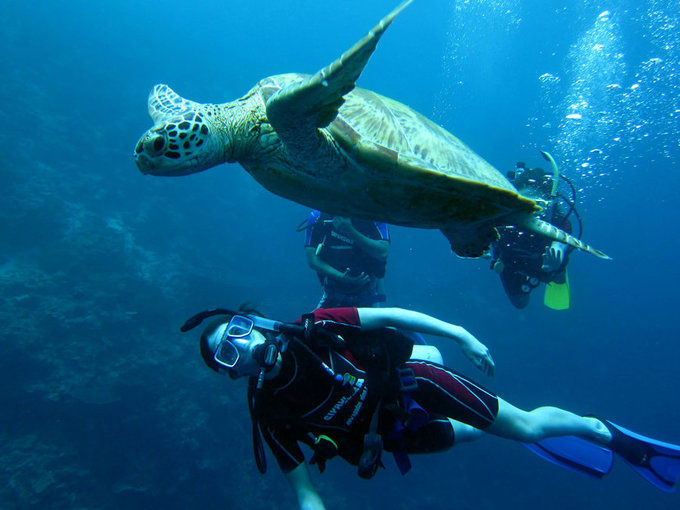 最适合旅游的世界上的海岛,世界上最休闲的海岛是什么