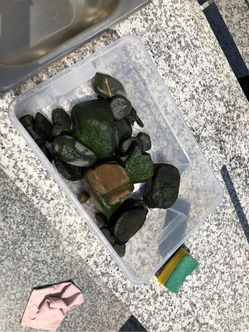 虾虎缸造景要什么过滤器,虾虎缸用什么石头造景好