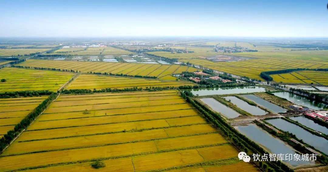 宝坻区哪几个镇最好,宝坻哪里风景最好