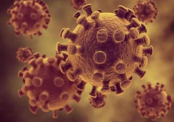 因体臭致飞机迫降,飞机最离谱的迫降原因