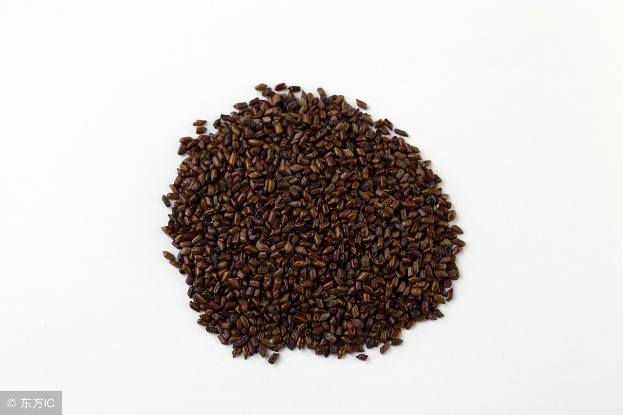 清肝明目的草药决明子,一味中药清肝明目润肠通便