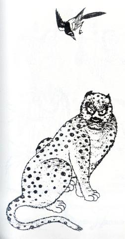 这些中国传统吉祥图案你见过几个？知道图案寓意吗？