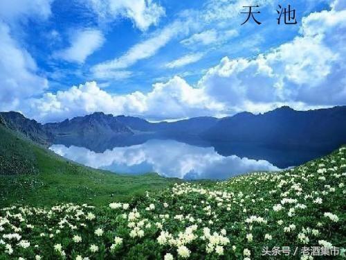 新疆伊力特酒哪款值得收藏,新疆伊力特曲酒10年咋样