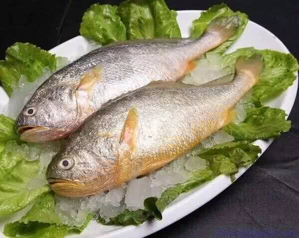 海鱼肉质鲜美，营养价值也高的10种鱼，你吃过几种？