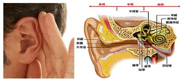 鼻减充血剂是否是处方药,鼻用减充血剂有哪些