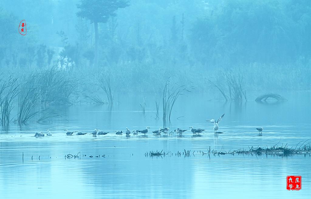 最大的玉佛在哪个位置,亚洲第一大铜佛在哪里